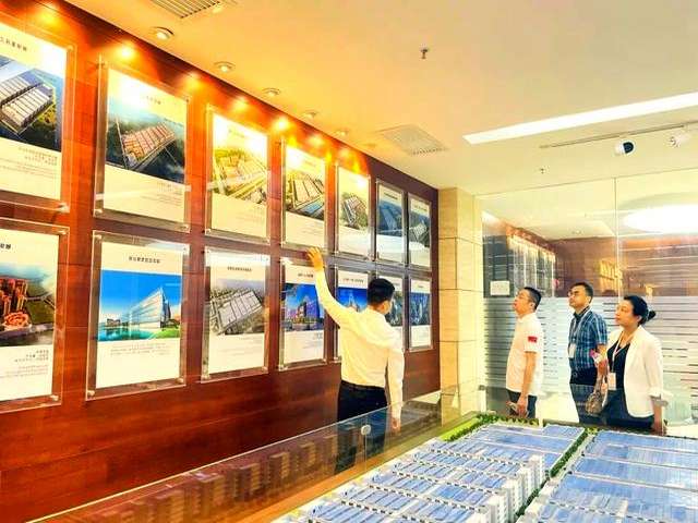 河南冷季型草坪施工